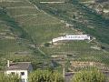 Hermitage vineyards from Tournon-sur-Rhône P1130969